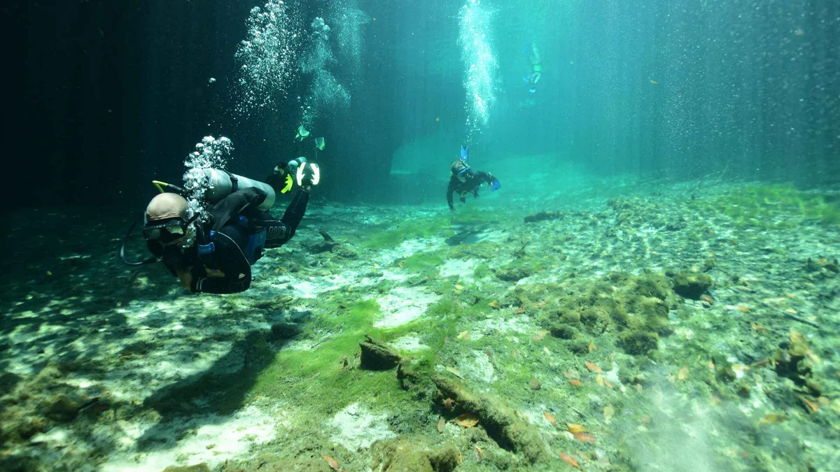 A beginner diver with an instructor in the clear water of an open cenote on a discover scuba tour in Tulum